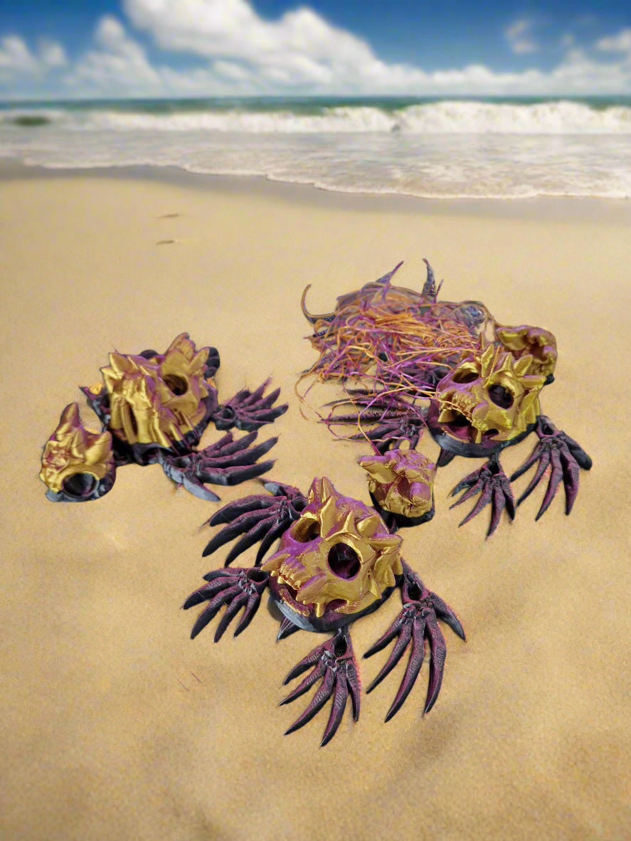 Hallow Turtle